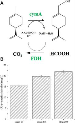 Efficient Synthesis of (R)-(+)-Perillyl Alcohol From (R)-(+)-Limonene Using Engineered Escherichia coli Whole Cell Biocatalyst